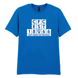 Personalised Adult Blue T-Shirt Established 1866 Blocks