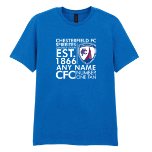 Personalised Adult Blue T-Shirt Text