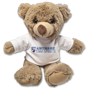 Teddy Bear Chesterfield FC Personalised Tiny Spireite