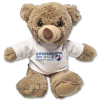 Teddy Bear Chesterfield FC Personalised When I Grow Up